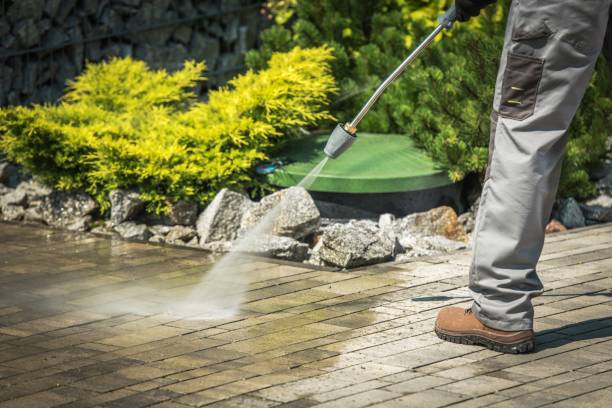 Best Gutter Cleaning  in Temple City, CA